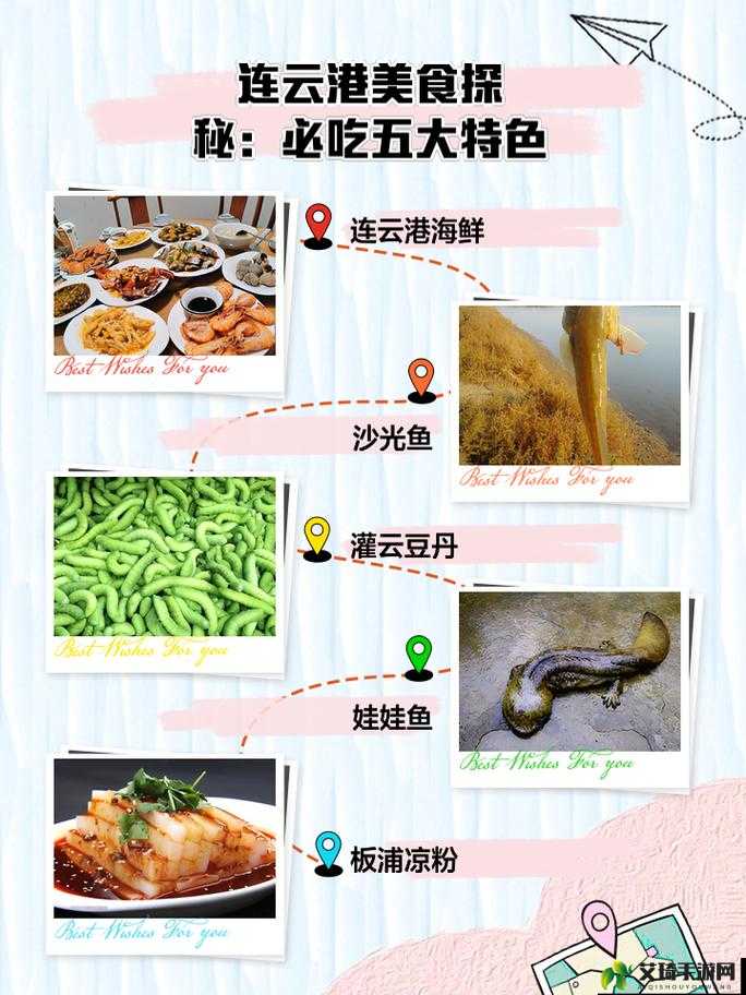 《美食直播探秘：如何选最新城市新闻攻略》